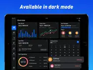 Pocket Expense 6 ipad bilder 2