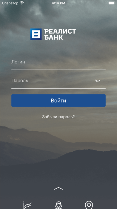 РБ Бизнес Screenshot