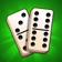 Dominoes: Classic Tile Games app icon - Games app for iPhone