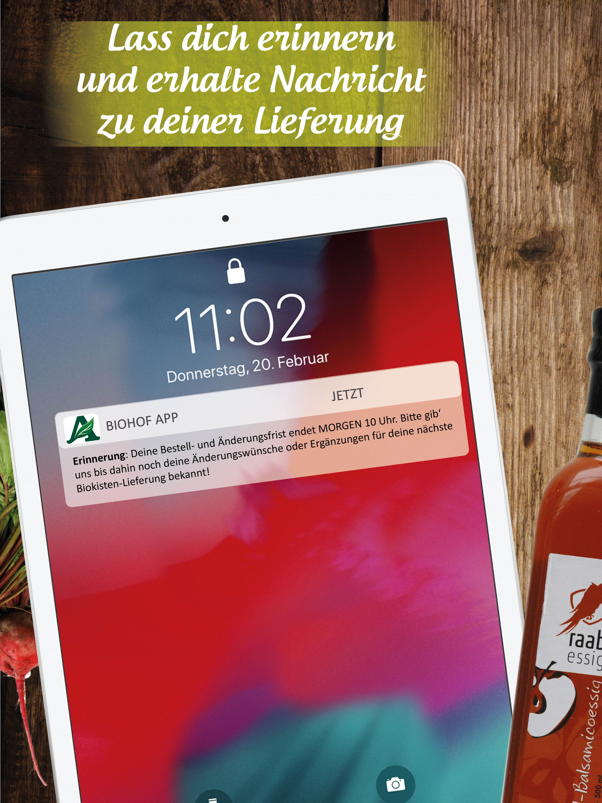 dieBiokiste screenshot 16