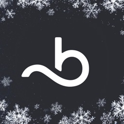 Booksy Biz: For Businesses