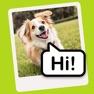 Get Speech Bubble Maker: Pic Talk for iOS, iPhone, iPad Aso Report
