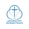 Senatobia First Methodist icon