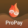ProbePay icon