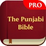Get The Punjabi Bible Pro for iOS, iPhone, iPad Aso Report