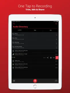 Voice Recorder Plus Pro iPad image 2
