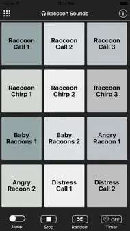 Raccoon Sounds iphone bilder 0