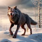 The Wolf Quest, Wildcraft Game app download