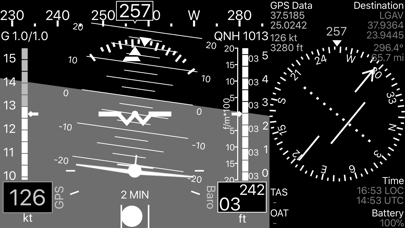 A-EFIS Black and White Screenshot