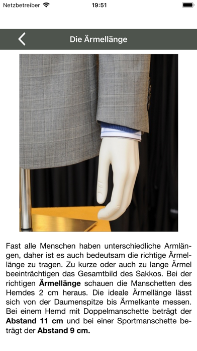 Screenshot #2 pour Business Style