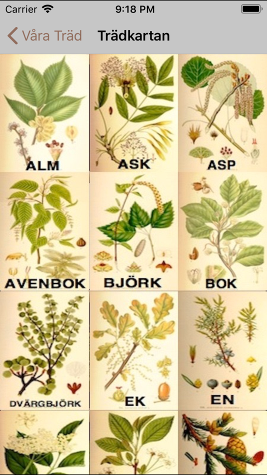 #2. Våra Träd (iOS) Ved: domesticusdevelop