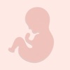 Baby Tracker - Contraction App icon