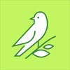 Transcribe Live: Voice to Text icon