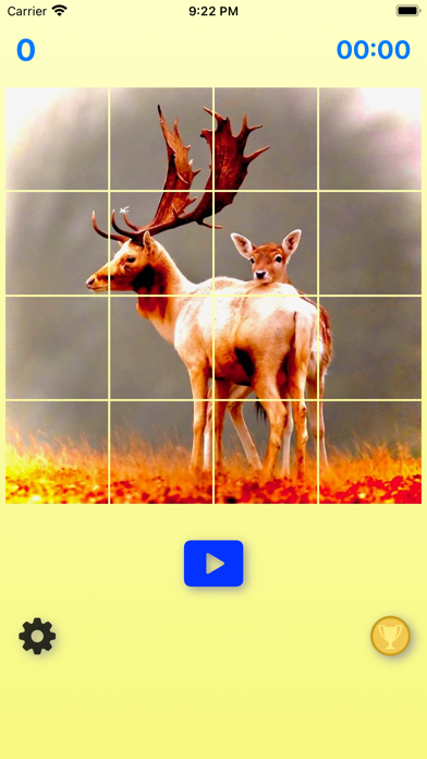 FunPuzzle21 Screenshot