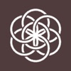Boomland Team app icon