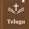 Telugu Holy Bible Audio icon