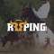 Get the ultimate roping experience, from entertainment to instruction