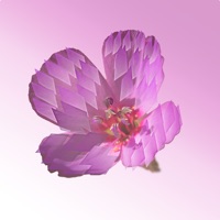 CrossPrism Nature Guide app icon - Reference app for iPhone