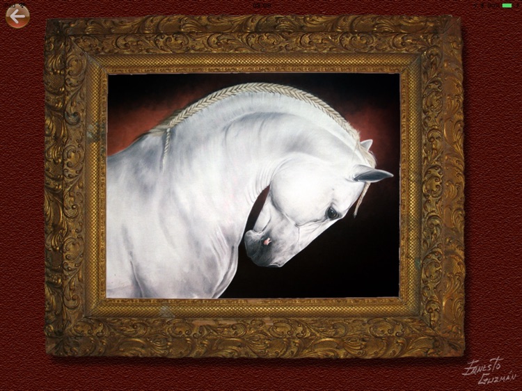 VirtualArtGallery screenshot-3