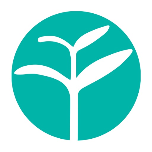 Yoyo Chinese: Learn Chinese