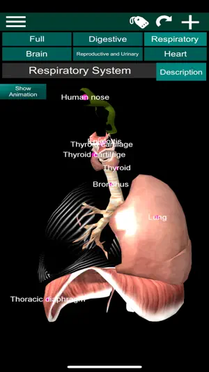 ORGANS 3D (ANATOMY) screenshot 2