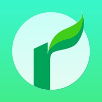 Aesthetics Plant Tips