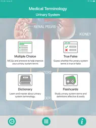 Urinary System Medical Terms ipad bilder 0