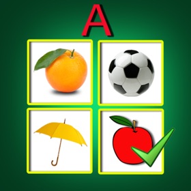 屏幕截图 (10) Learn English Basics