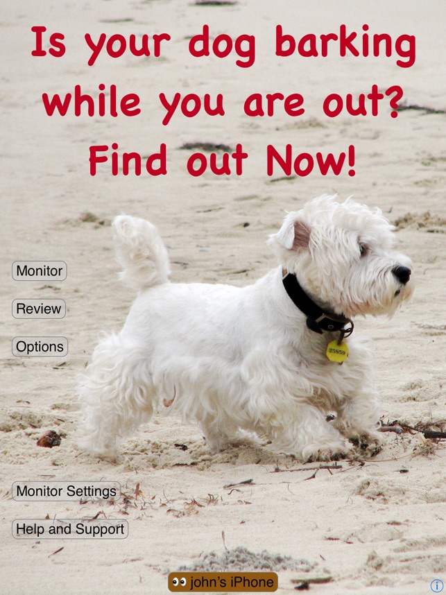 Why Does My Dog Bark at Nothing: Surprising Reasons Explained