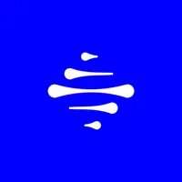 INSO - Private AI