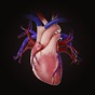 Complete HeartX app download
