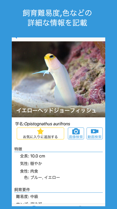 BlueBook - 熱帯魚・海水魚・サンゴ図鑑 のスクリーンショット