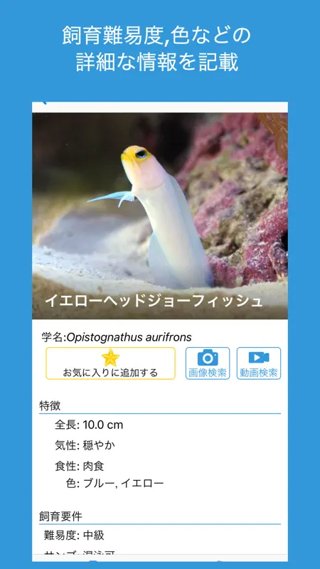 BlueBook - 熱帯魚・海水魚・サンゴ図鑑 screenshot 2 of 2
