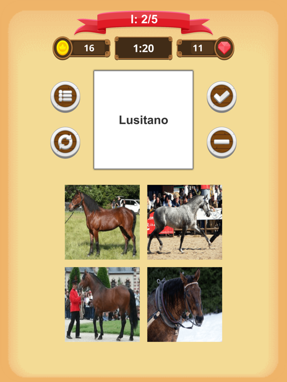 Horse Quiz iPad screenshot