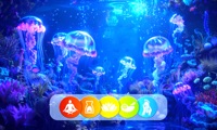 Jellyfish Ocean Calm Ambiance