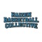 This app gives easy access to your Kaizen Basketball library of programs and media