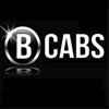 B Cabs Belfast icon