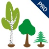 PreNumbers PRO icon