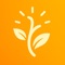 Lumivine - Pursuing Unity in Christian Faith