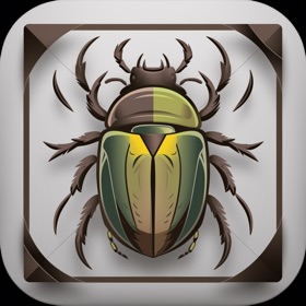 Insect Bug Identifier: Bug App
