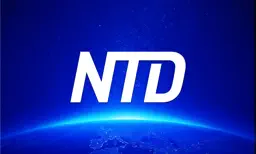 NTD: Live TV & Programs app icon