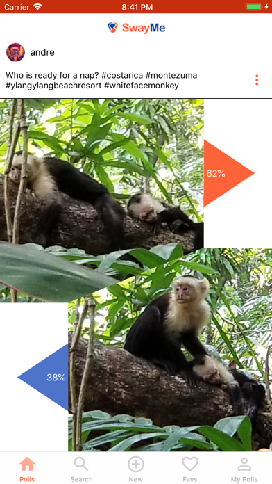 SwayMe iPhone screenshot 6 - Social Networking app