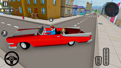 Animal Shelter Cat Rescue Game Screenshot