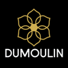 Dumoulin Travel Guides