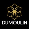 Dumoulin Travel Guides icon