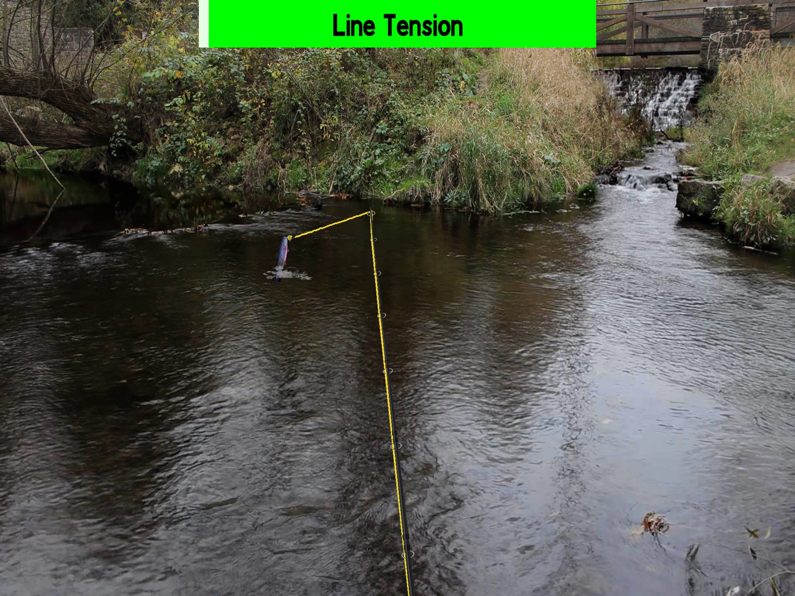 Fly Fishing Simulator HD ipad screenshot 1
