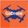 GoDrone