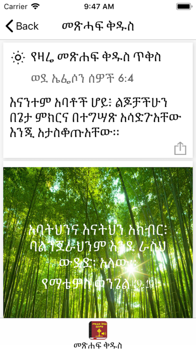 Amharic Bible with Audio iPhone screenshot 1