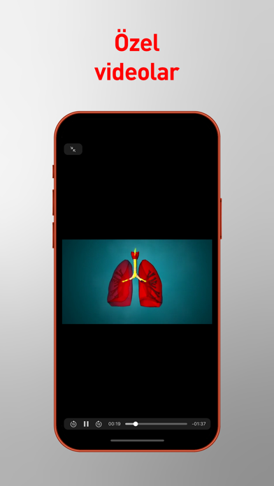 Screenshot #2 pour pratiKOAH