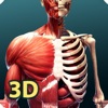 Anatomy & Physiology AR icon